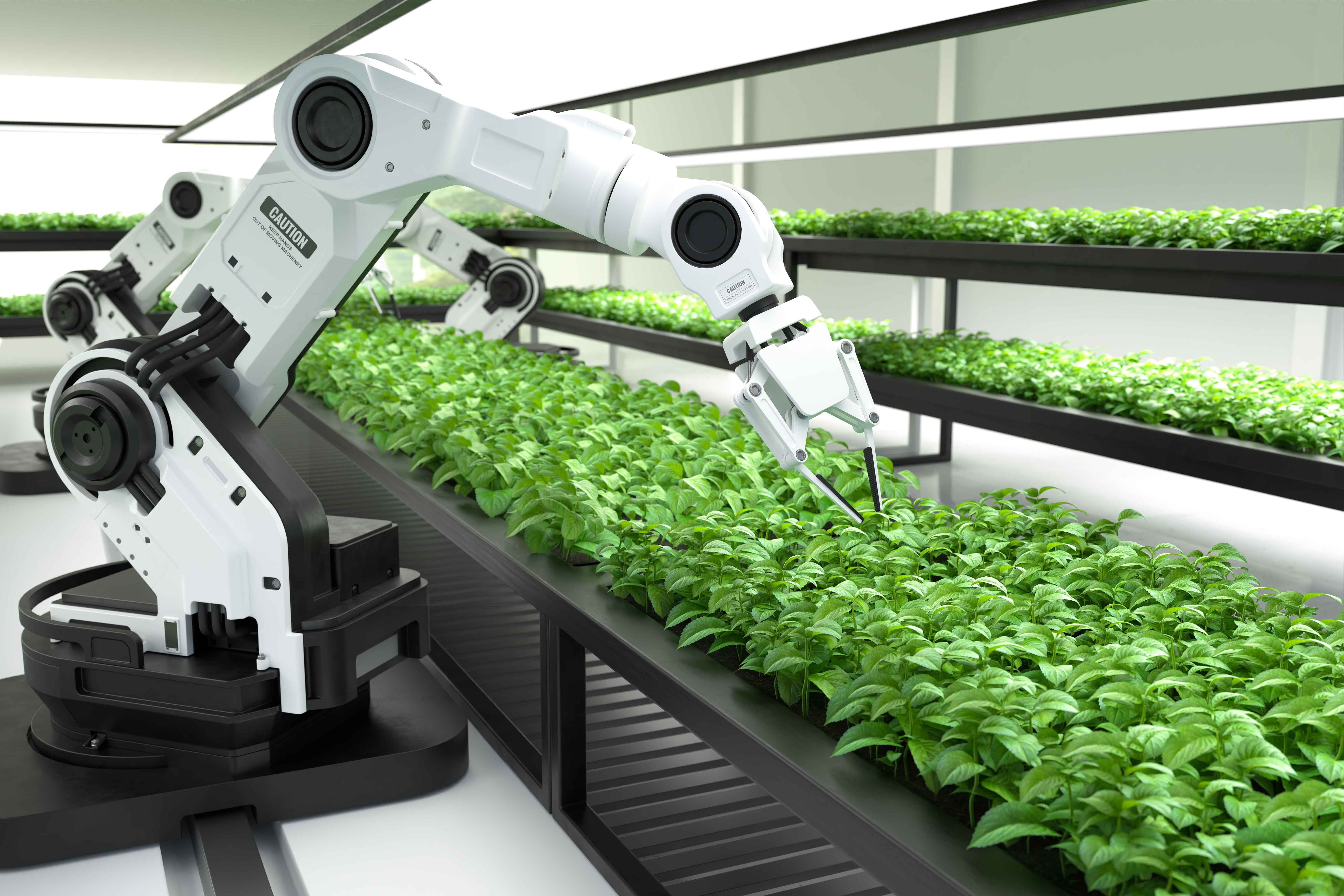 Agribusiness